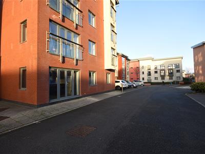 Picture 5
